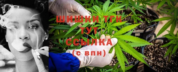 ГАЛЛЮЦИНОГЕННЫЕ ГРИБЫ Арсеньев