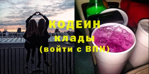 ГАЛЛЮЦИНОГЕННЫЕ ГРИБЫ Арсеньев