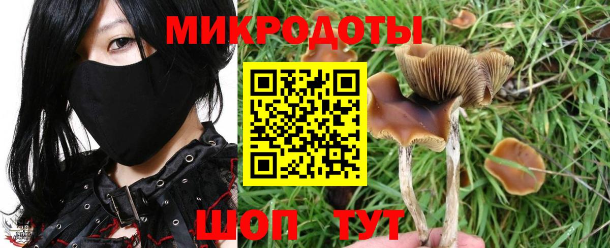 Псилоцибиновые грибы Magic Shrooms Унеча
